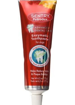 dog toothpaste